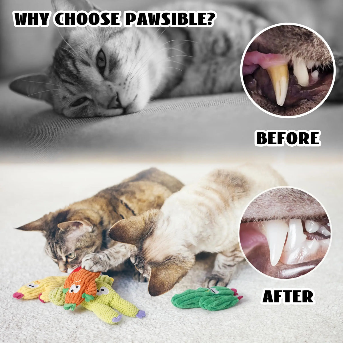 Organic Catnip-Filled Cactus Cat Toys (Set of 5)