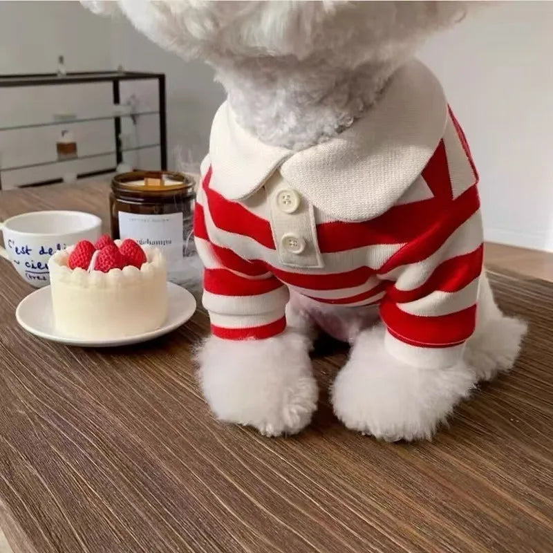 Ein flauschiger weißer Hund in einem rot-weiß gestreiften West sitting neben einem kleinen Kuchen und einem Glas.