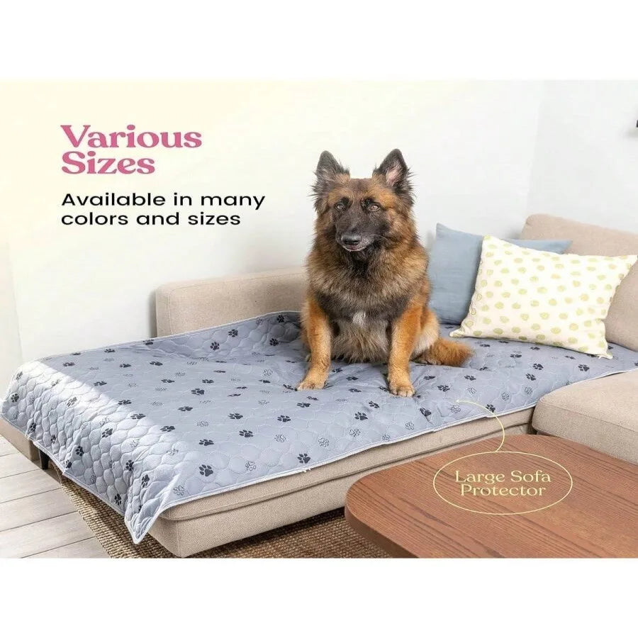 Ein flauschiger brauner Hund sitzt auf einem grauen Sofa mit einer blau gemusterten Unterlage, gekennzeichnet als großer Sofa