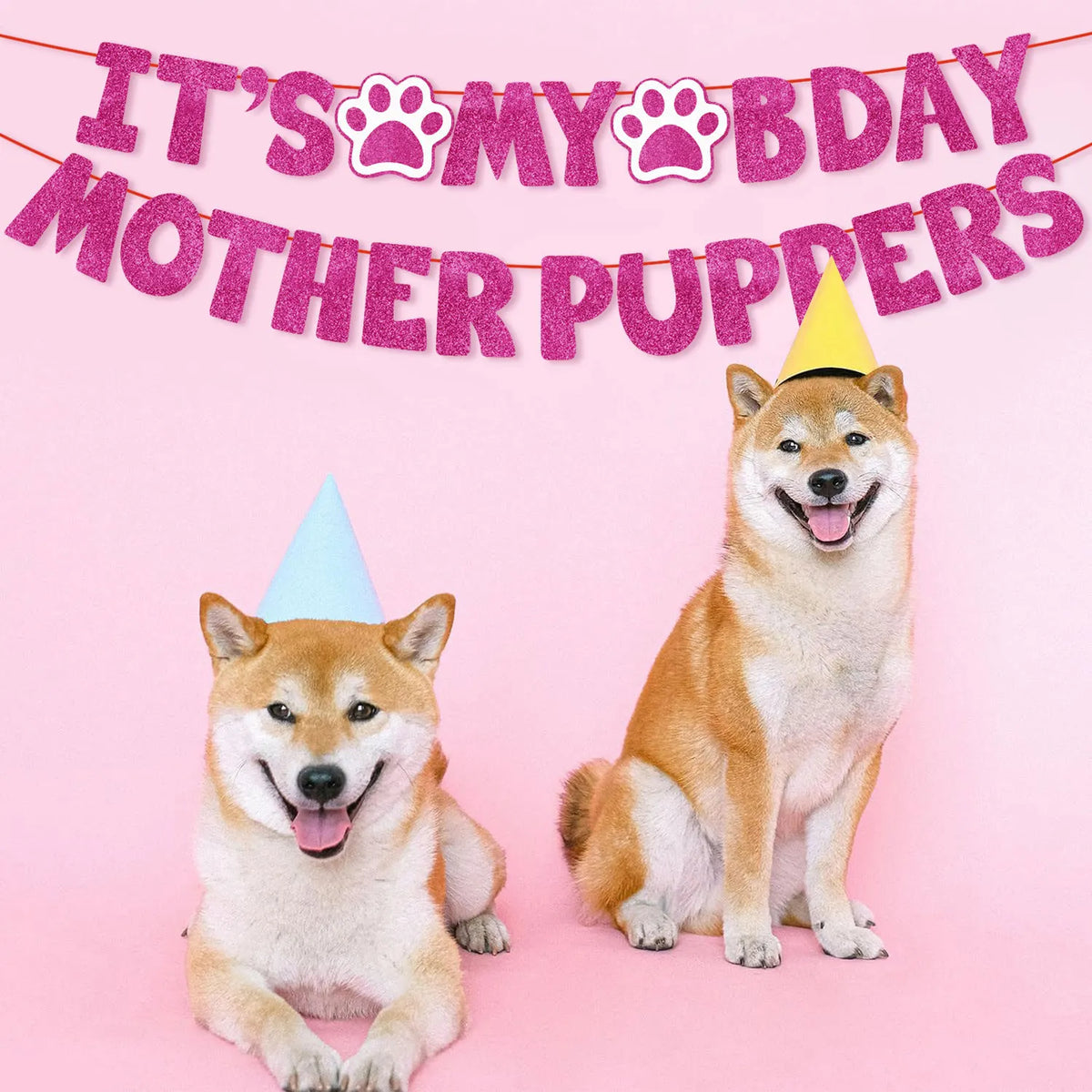 A Shiba Inu dog wearing a yellow party hat sitting next to pink birthday banner decor.
