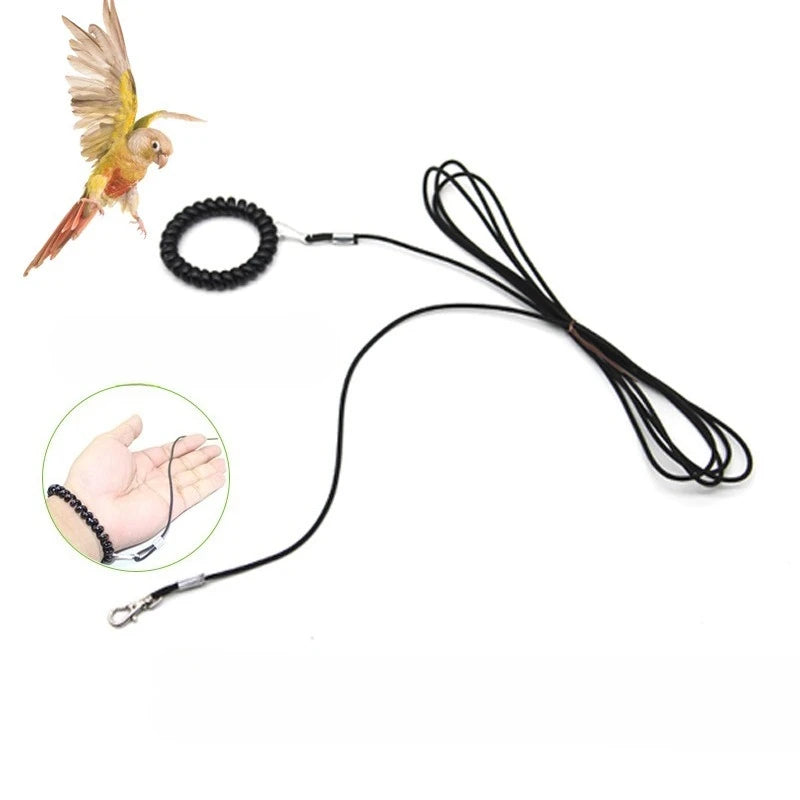 A bird training harness and safety leash are shown with a feather and a hand for scale.