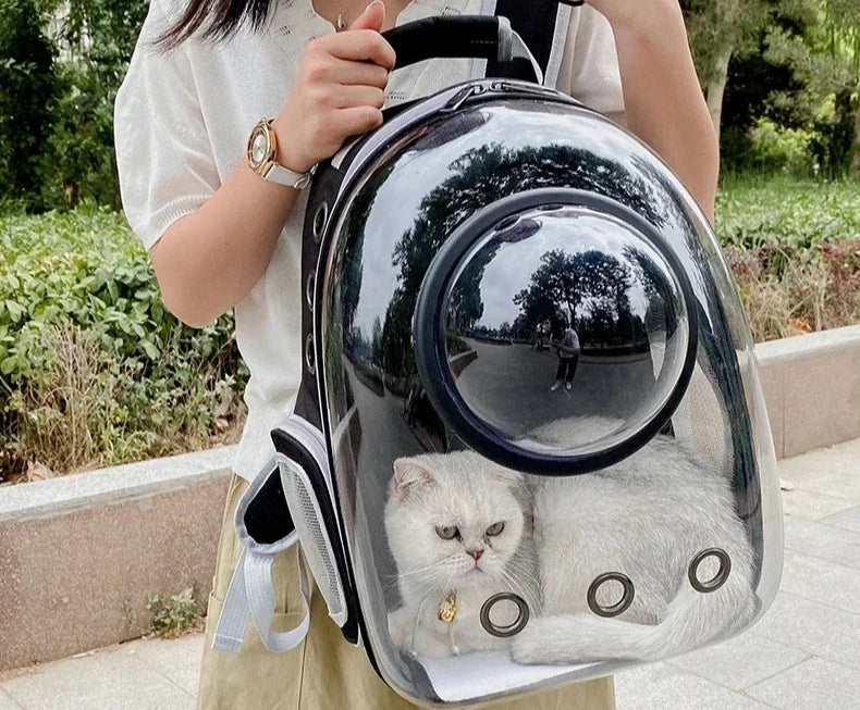 A person is holding a transparent pet carrier backpack with a dome design, featuring a cat inside.