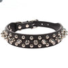 Punk Rivet Spiked Leather Dog Collar