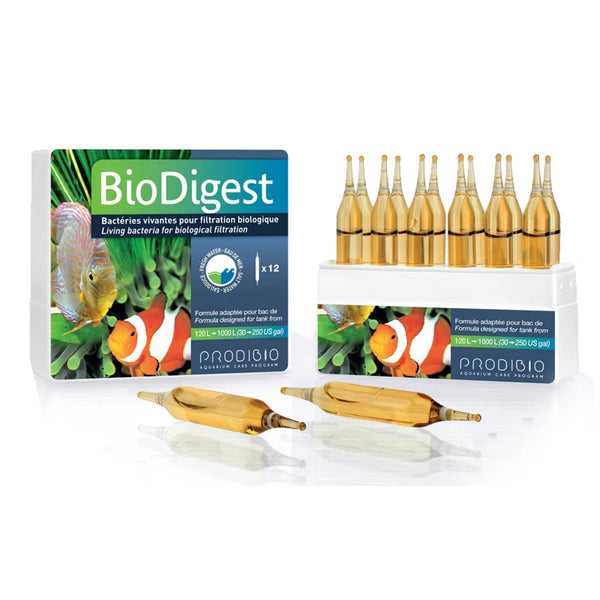 12 Flaschen BioDigest Bakterien und ein Flüssig-Booster für Fischbecken