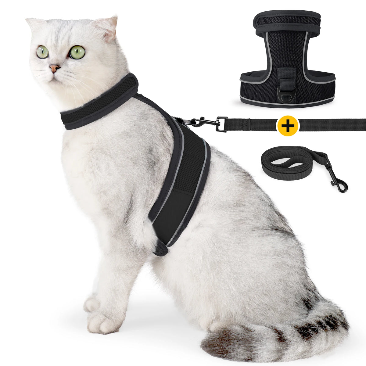 A white cat wearing a black escape-proof harness with a quick-release buckle and leash.