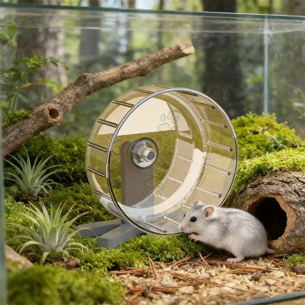 A transparent hamster exercise wheel is placed in a natural, mossy environment with small plants and wood pieces.