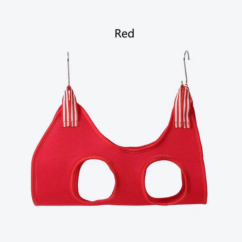 Kit de Brossage et Taille-ongles pour Animaux