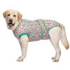 A light-colored dog wearing a patterned pet recovery suit with green trim.