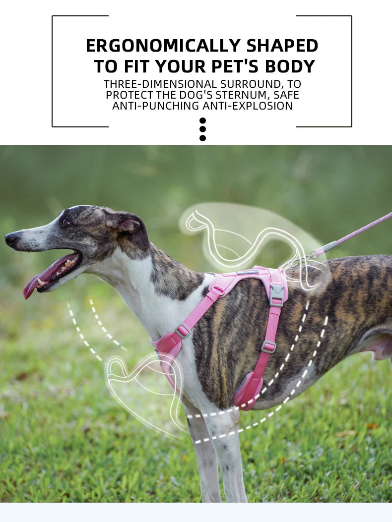 A dog wearing a pink harness is shown outdoors, demonstrating an ergonomically shaped pet harness.