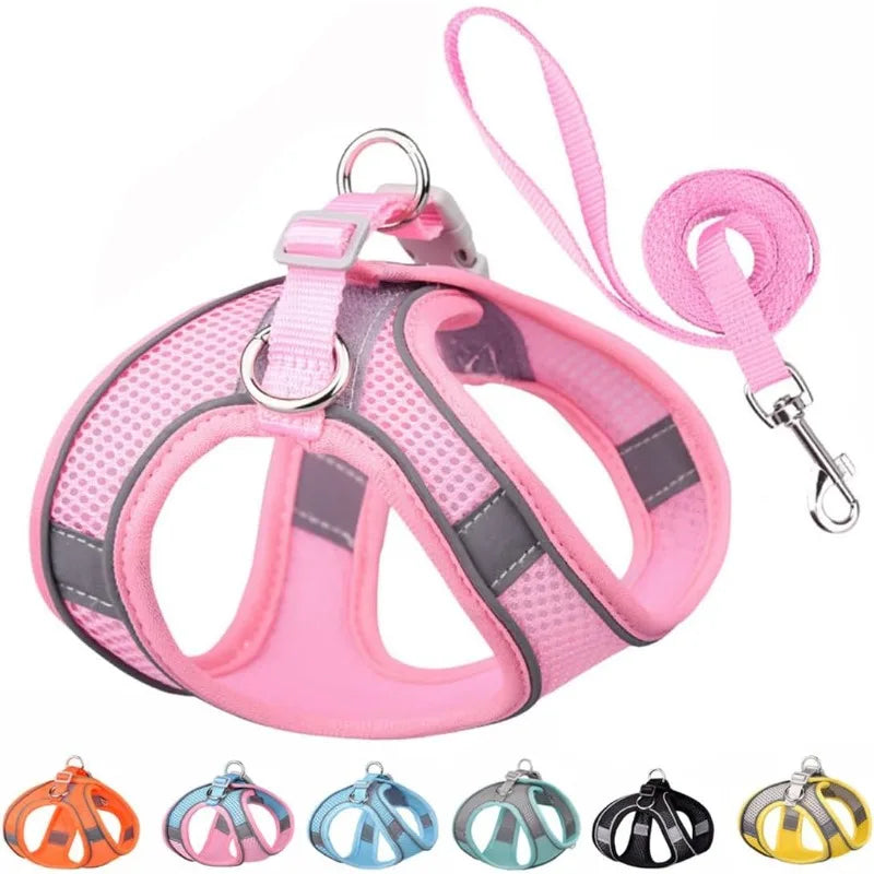A collection of various reflective no-pull dog harnesses and leashes in different colors