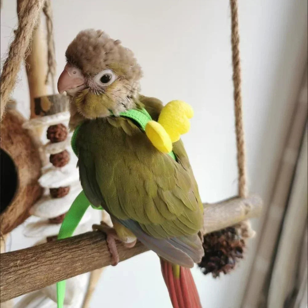 Adjustable Parrot Harness and Leash Set for Small Birds