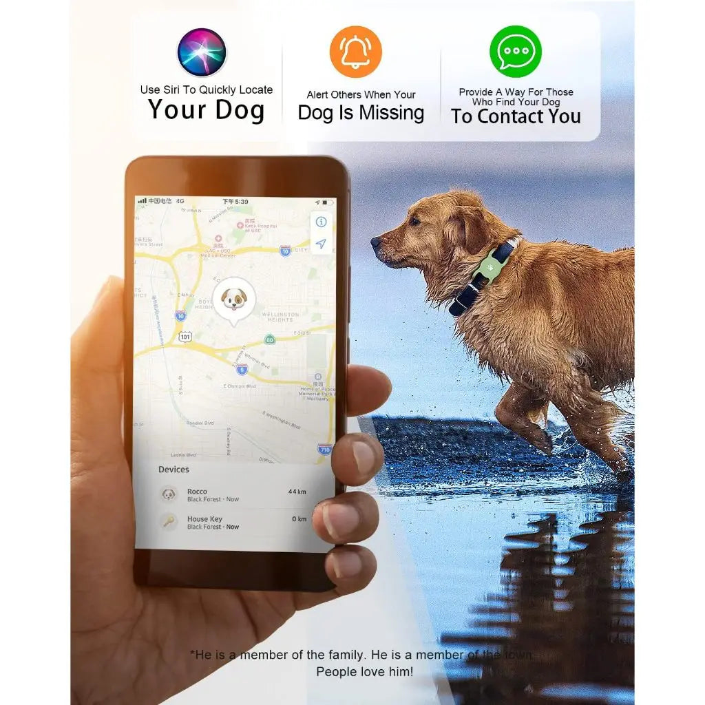 Eine Hand hält ein Smartphone mit einer Karte und Tierstandortinformationen, mit einem Hund im Hintergrund.