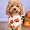 Halloween Dog Bandana with Pumpkin and Spider Web Design