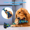 A golden retriever plays with a blue and green knot rope dog toy for interactive play.