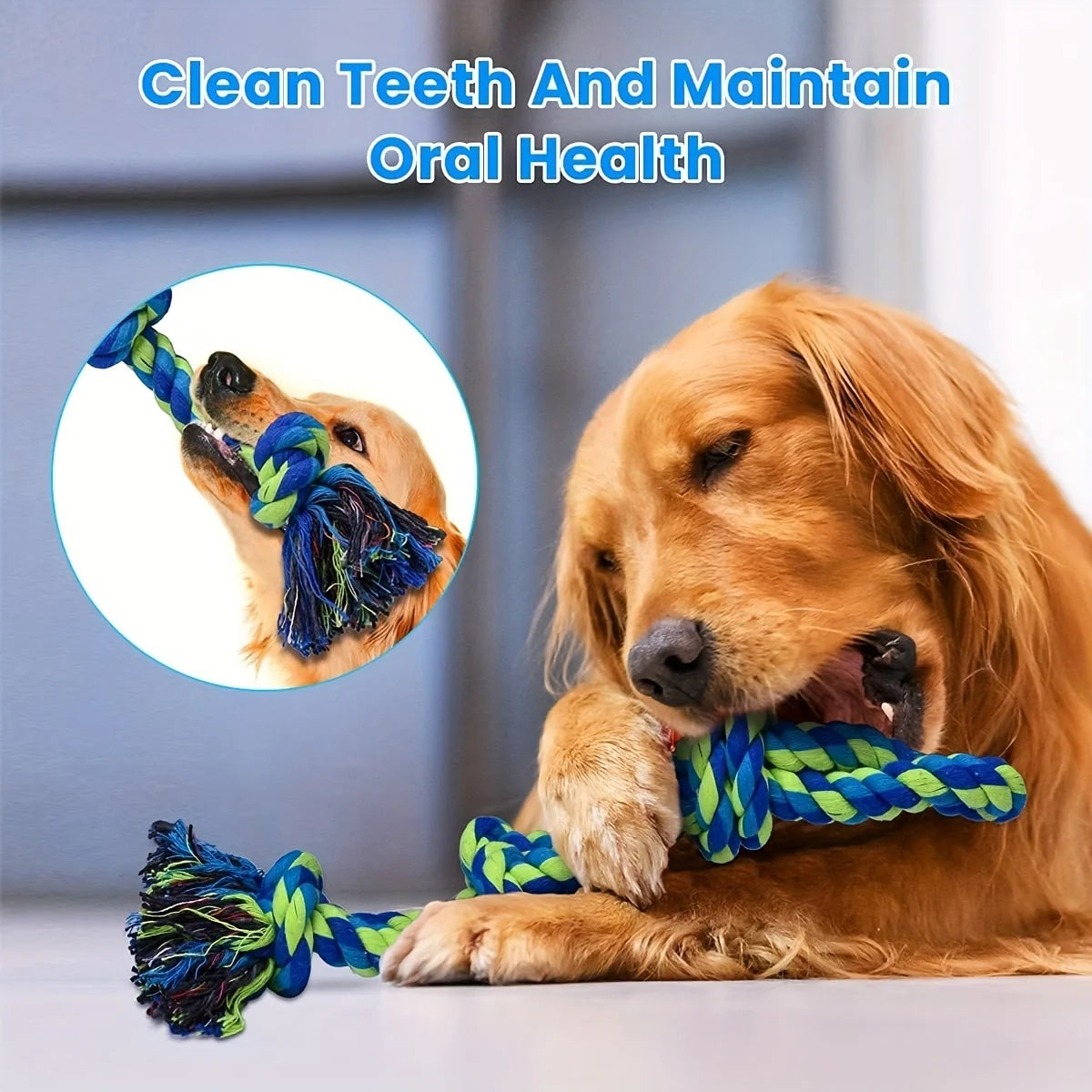 A golden retriever plays with a blue and green knot rope dog toy for interactive play.