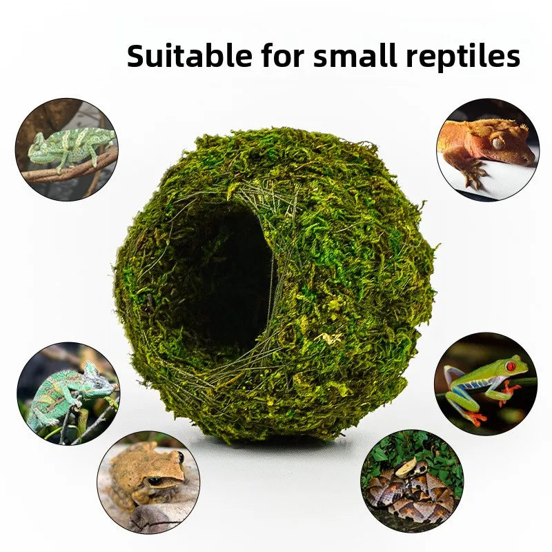 A spherical natural moss reptile hide used for small reptiles, shown with various reptile examples.