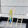 Wooden Bird Ladder with Swing and Perch for Parrots