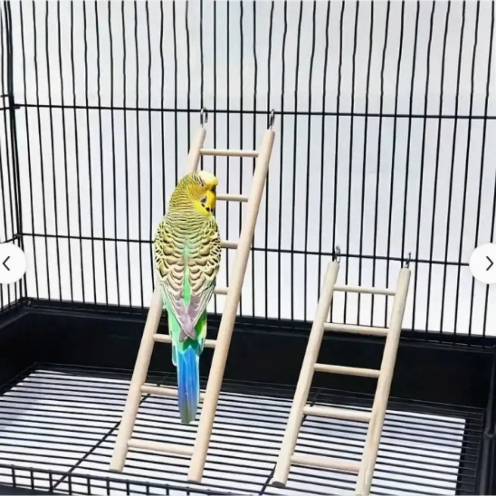 Wooden Bird Ladder with Swing and Perch for Parrots