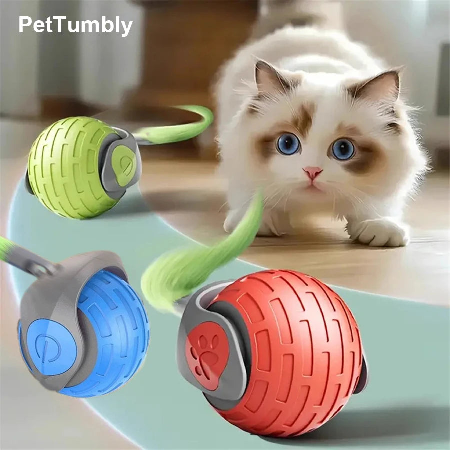 A fluffy white cat is sitting next to two colorful, interactive rolling toys, one green and one orange.
