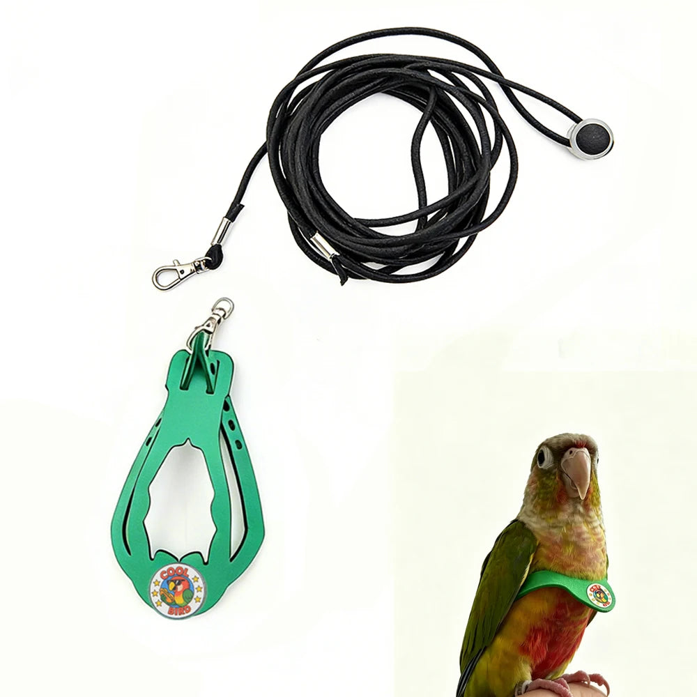 A green adjustable parrot harness and black elastic leash set with a metal clip.