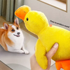 Jouet pour chien en peluche interactive : Canard