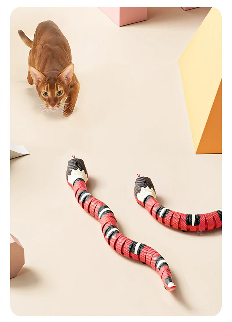 Jouet Serpent Interactif Rechargeable par USB pour Chat