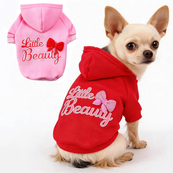 Ein kleiner brauner Hund trägt einen roten Hoodie mit rosa Stickerei, auf der 'Little Beauty' steht