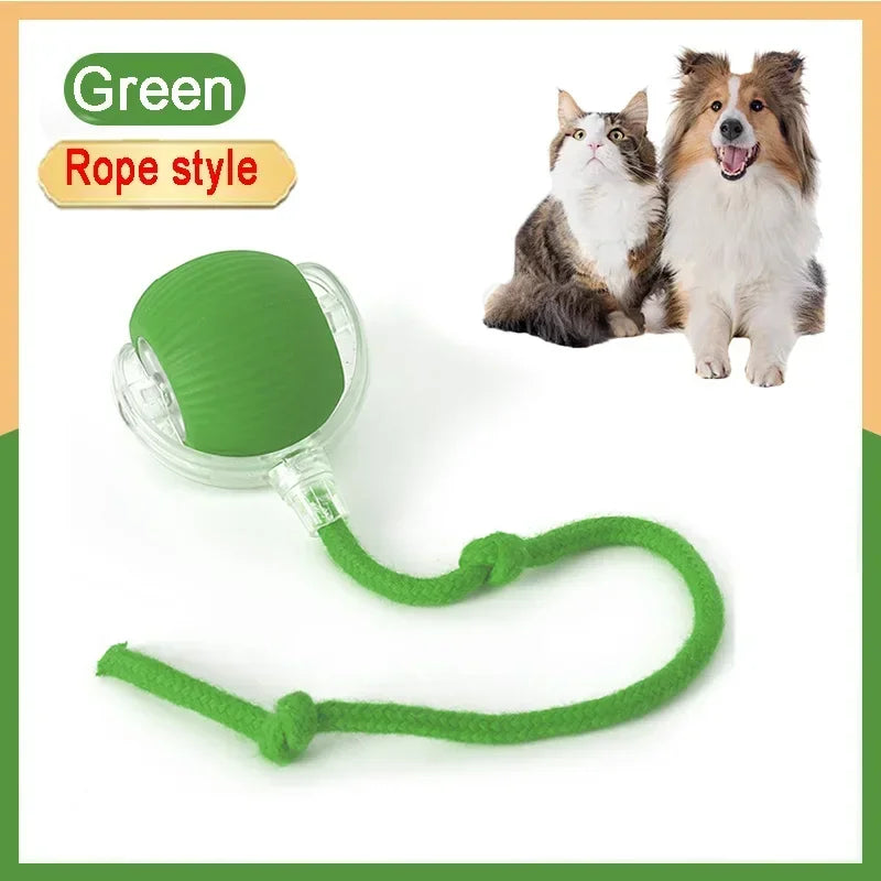 Green rope style interactive pet toy ball with a green cord and a clear ball, shown next to two dogs.