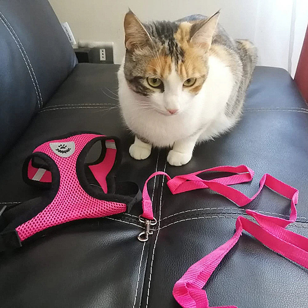 Adjustable Breathable Mesh Dog & Cat Harness with Leash