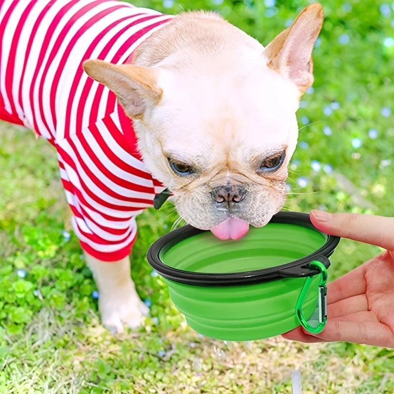 Collapsible Silicone Pet Travel Bowl for Food and Water