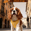 Checkered Nylon Dog Harness for Small Dogs with Leash