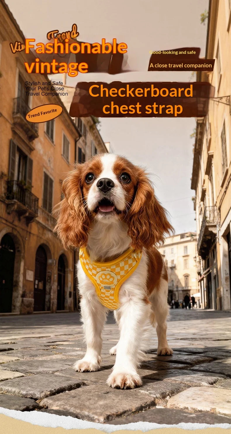 Checkered Nylon Dog Harness for Small Dogs with Leash