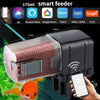 Smart WiFi Automatic Fish Feeder with App Control