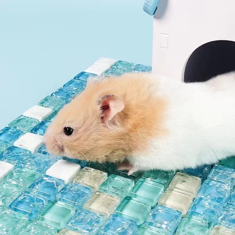 A light brown and white hamster lying on a blue translucent cooling mat.