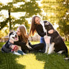 Portable Silicone Dog Treat Pouch for Training and Walks