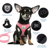 Adjustable Breathable Mesh Dog & Cat Harness with Leash
