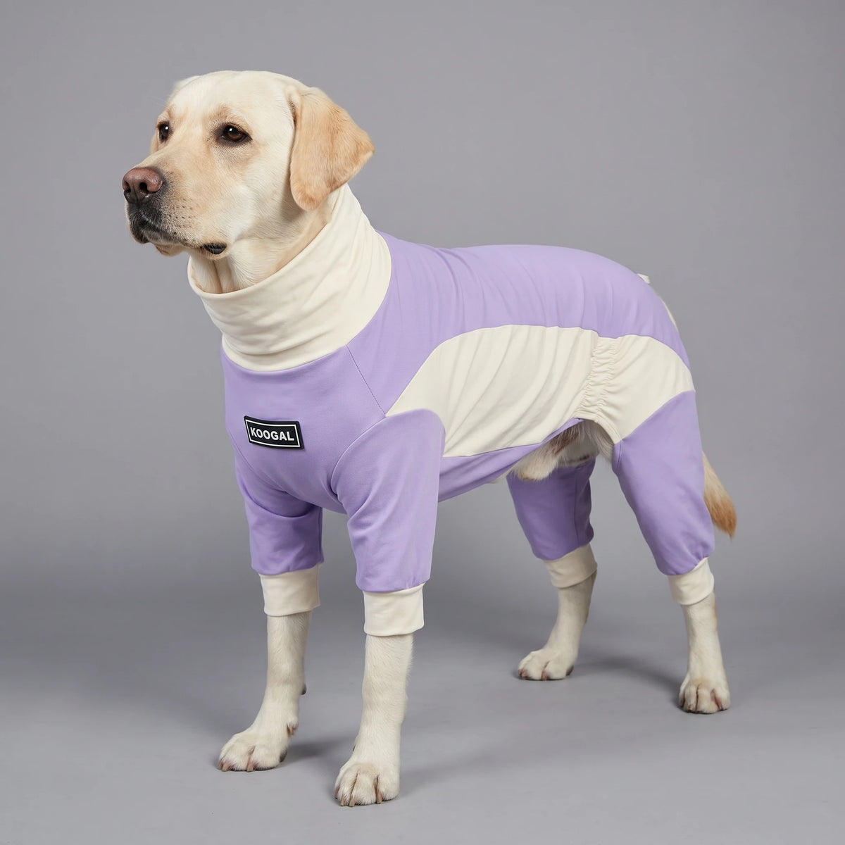 Pet Cooling Full-Body Suit for Summer Heat Relief