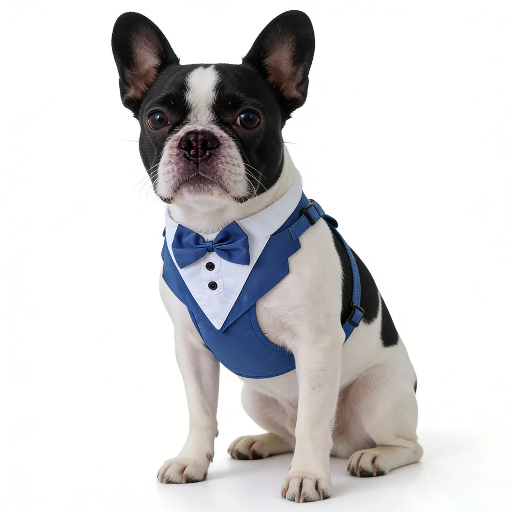 Dog Tuxedo with Bowtie for Weddings and Special Occasions