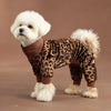 A white poodle wearing a brown leopard print jumpsuit, standing on a neutral background.