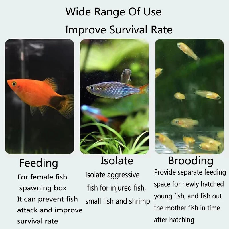 Aquarium Fish Breeding Isolation Box with Suction Cups