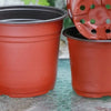 Plastic Plant Nursery Pots with Drainage Holes (Set of 10)