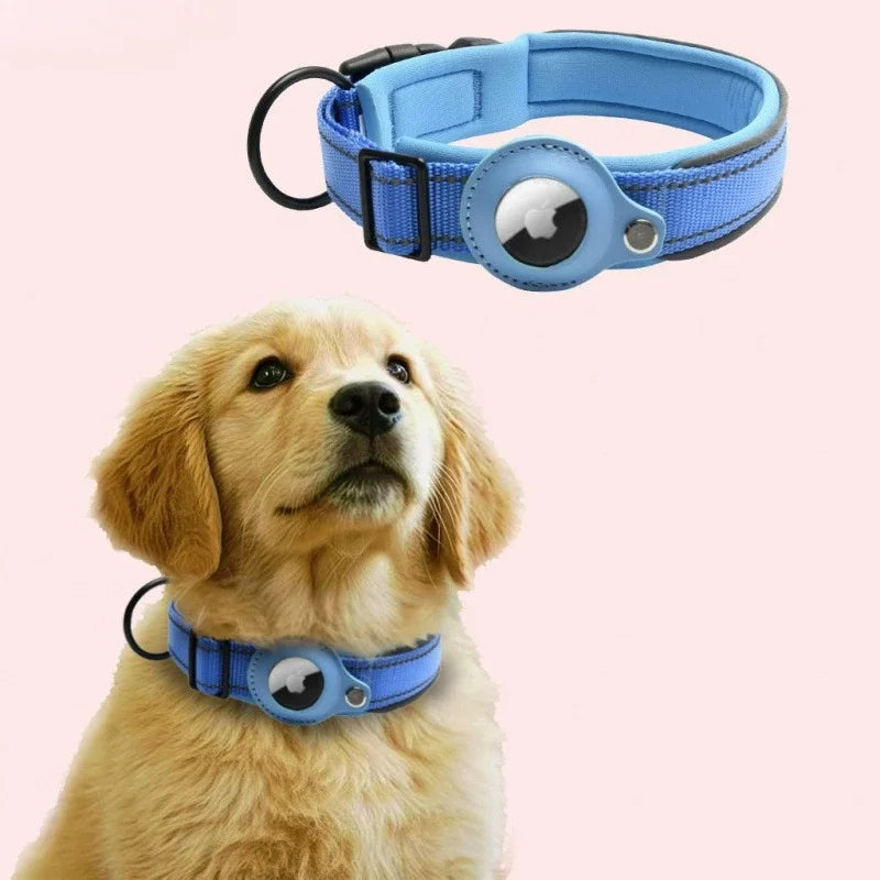 A golden retriever wearing a blue reflective airtag dog collar with an adjustable padded fit.