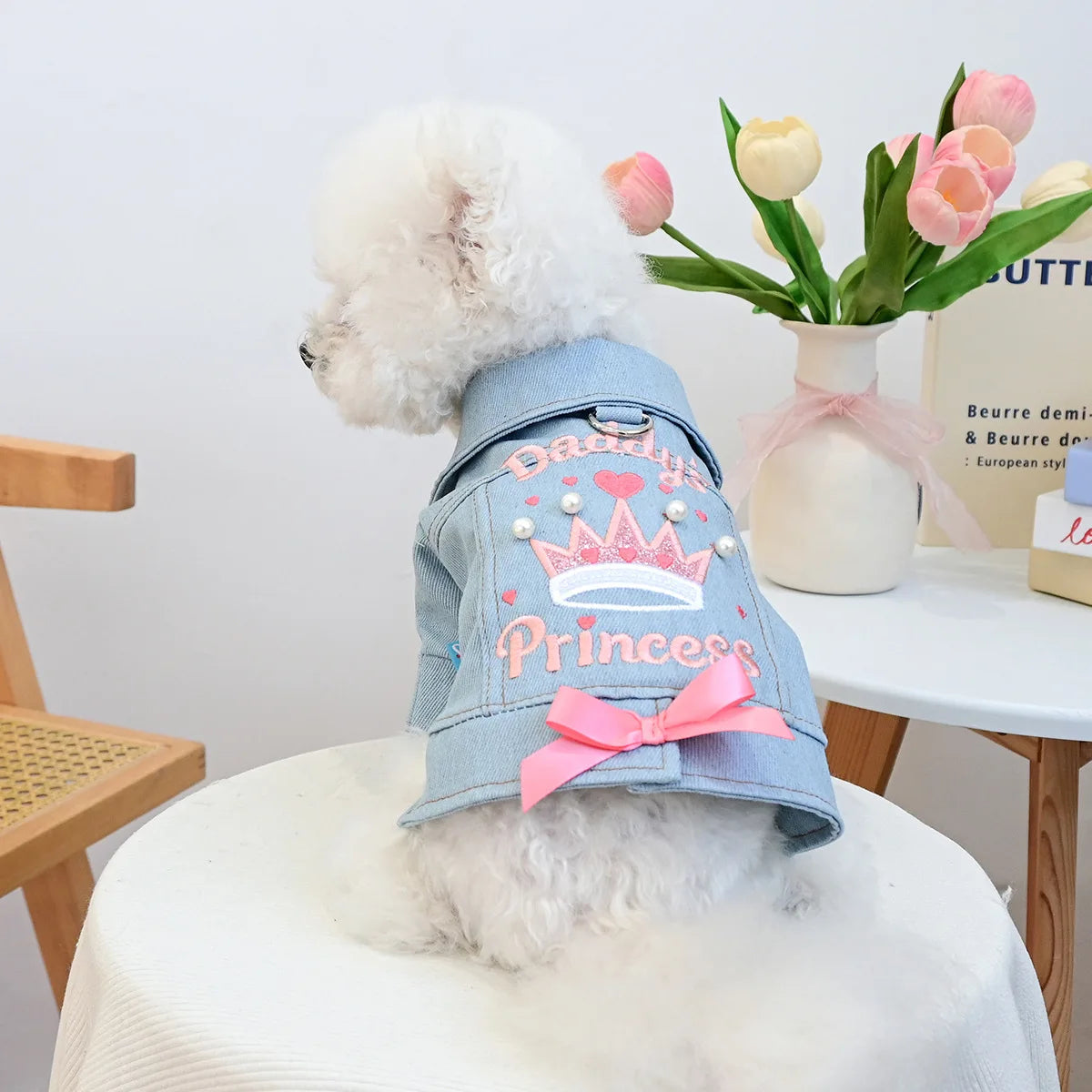 Charming Denim Jacket for Small Dogs with Playful Prints