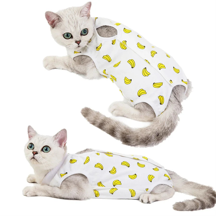 Ein flauschiger grauer Kater trägt eine weiße Rettungsweste mit gelben Akzenten.