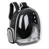 A transparent pet carrier backpack with black straps and a mesh panel for cats and small dogs.