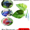 Aquarium Fish Breeding Isolation Box with Suction Cups