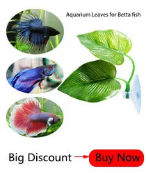 Aquarium Fish Breeding Isolation Box with Suction Cups