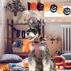 Classic Plaid Dog Collar, Harness & Leash Set with Bowtie