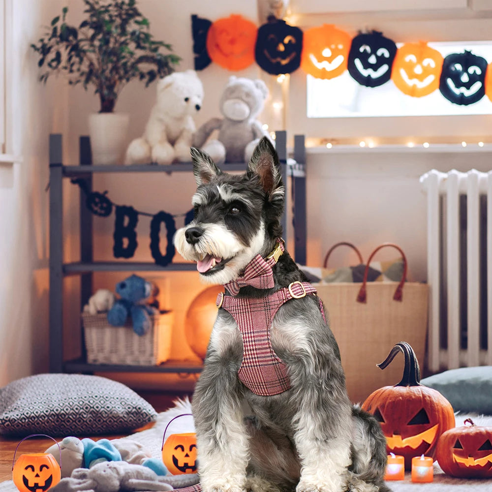 Classic Plaid Dog Collar, Harness & Leash Set with Bowtie