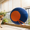 Interactive Large Dog Ball with Wrist Strap